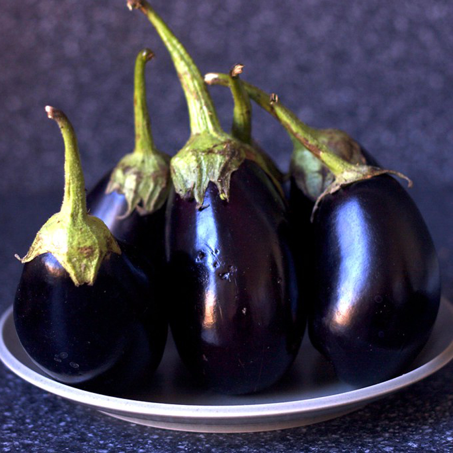 Solanum melongena 'Baby Belle F1' Padlizsán 'Baby Belle F1'